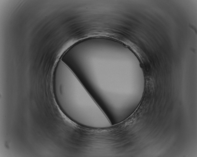 X0000097611143200802290750