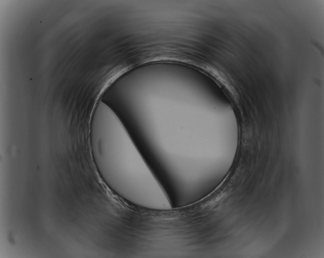 X0000097611145200802290750