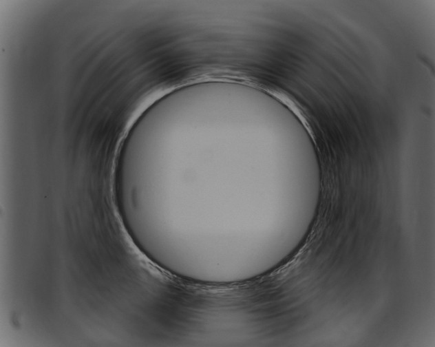 X0000097611147200802290750