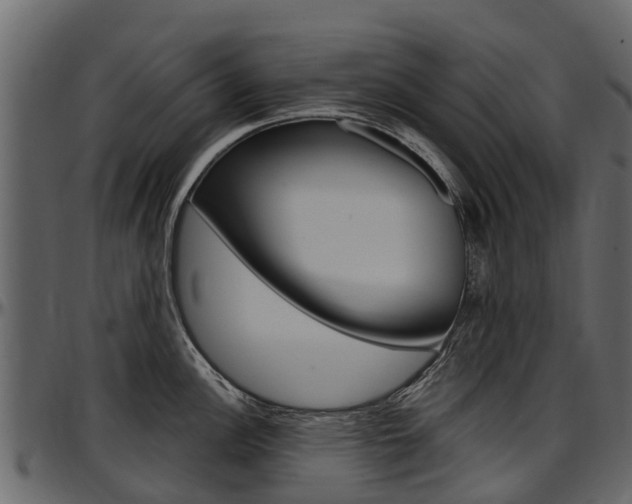 X0000097611148200802290750