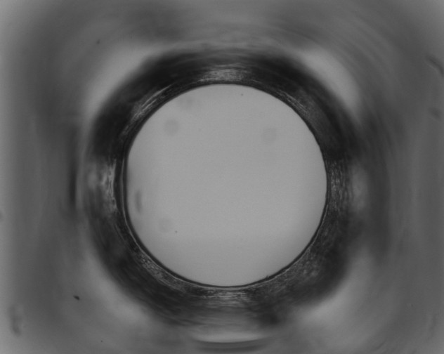 X0000097611150200802290750