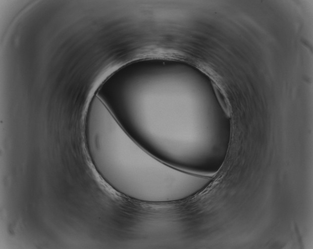 X0000097611152200802290750