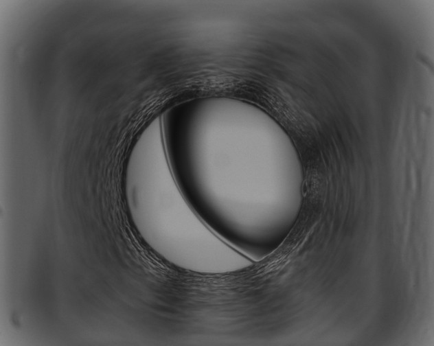 X0000097611153200802290749