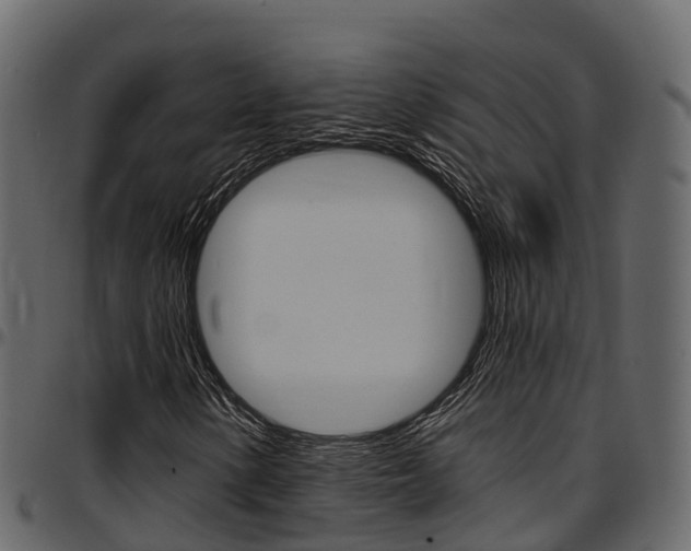 X0000097611154200802290749