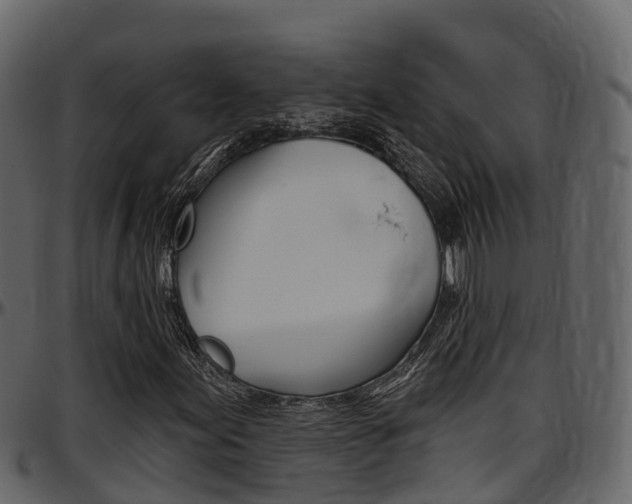 X0000097611155200802290749