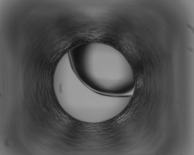 X0000097611156200802290749