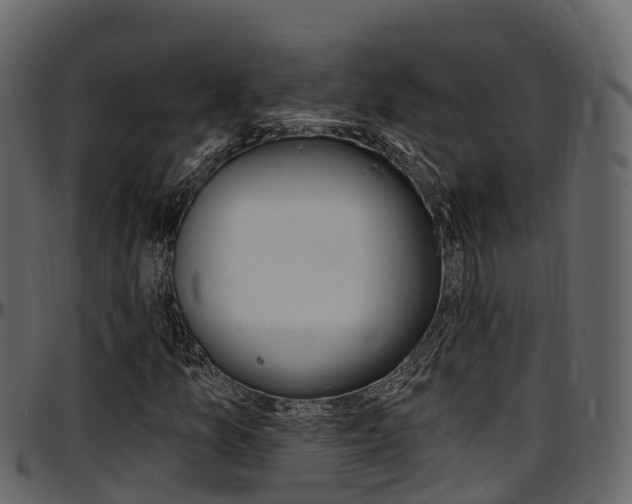 X0000097611157200802290749