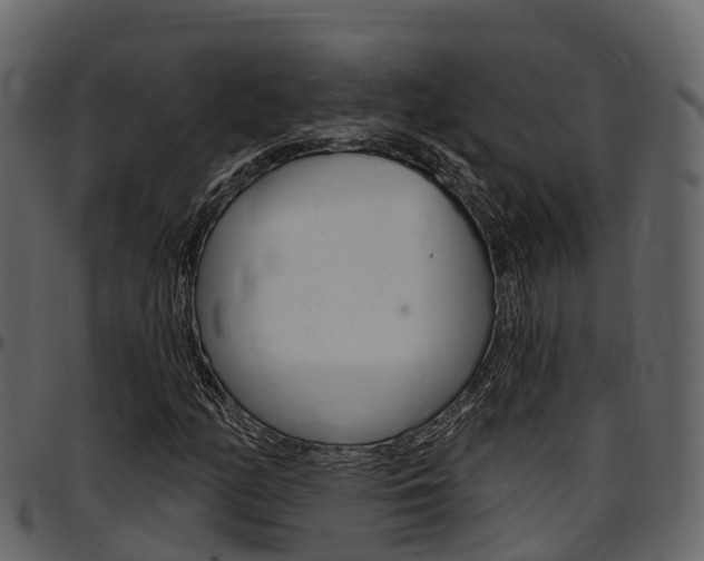 X0000097611158200802290749