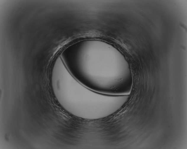 X0000097611160200802290749