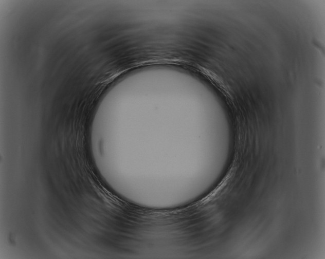 X0000097611161200802290749