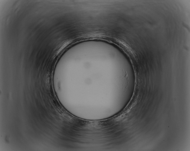 X0000097611162200802290749