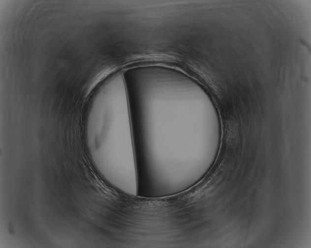 X0000097611163200802290749