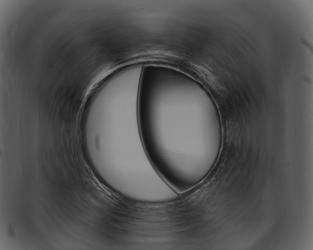 X0000097611164200802290749