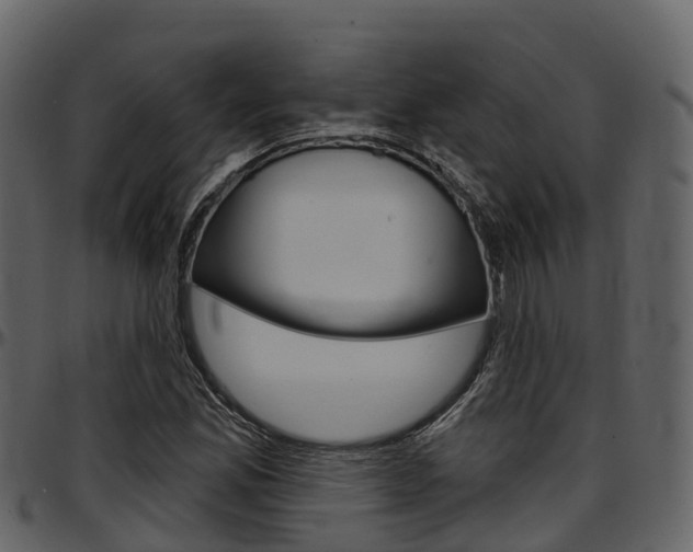 X0000097611165200802290749