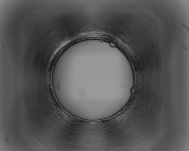 X0000097611166200802290749