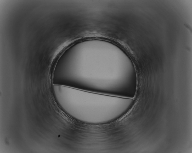 X0000097611167200802290749