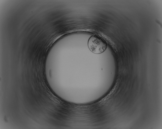 X0000097611169200802290749