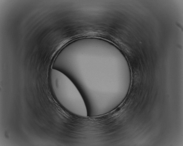 X0000097611170200802290749