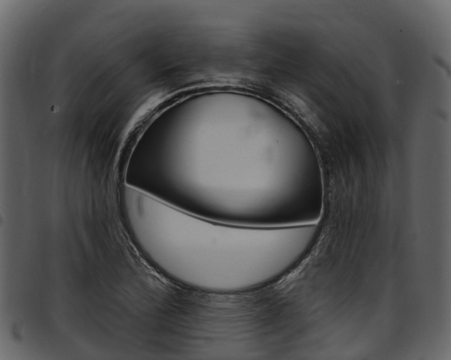 X0000097611172200802290749