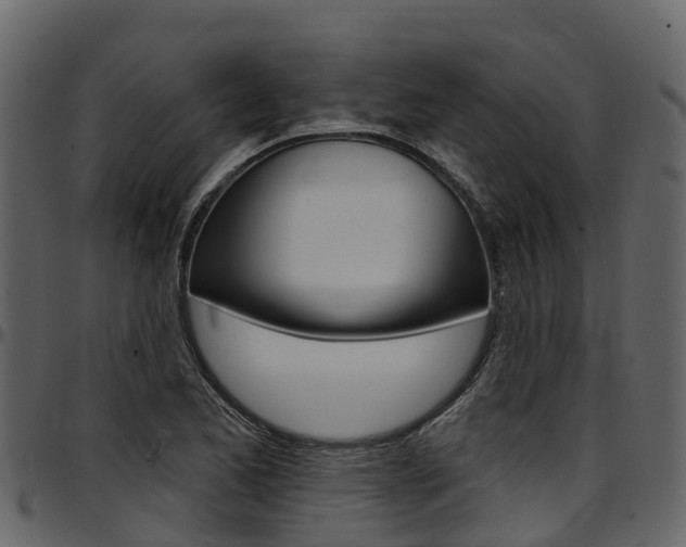 X0000097611173200802290749