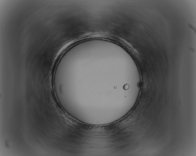 X0000097611174200802290749