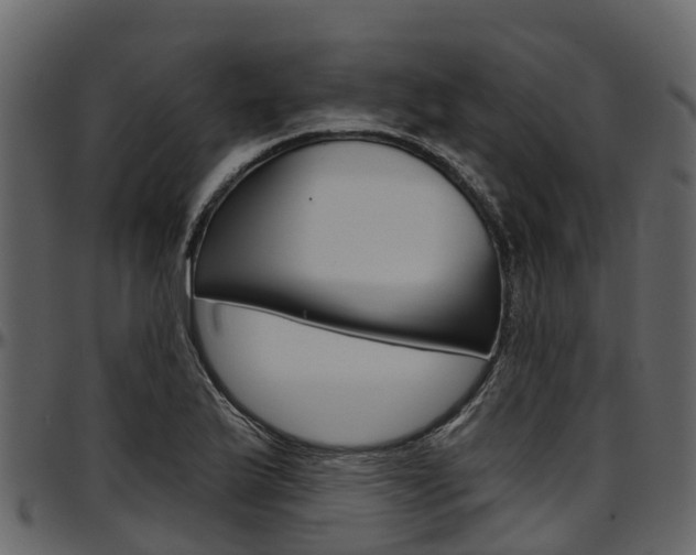 X0000097611175200802290749