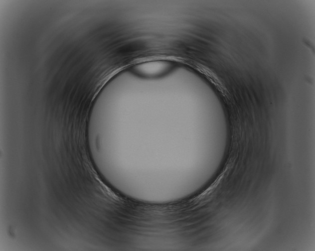 X0000097611177200802290749