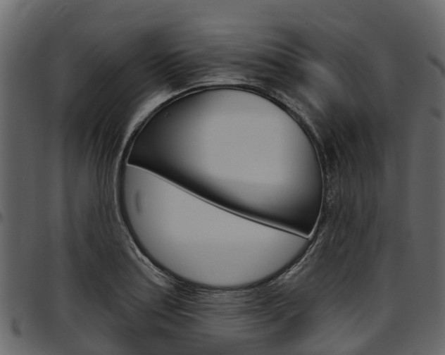 X0000097611179200802290749