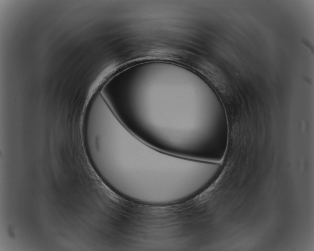 X0000097611180200802290749