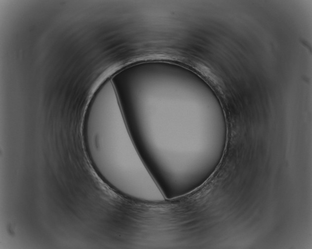 X0000097611181200802290749