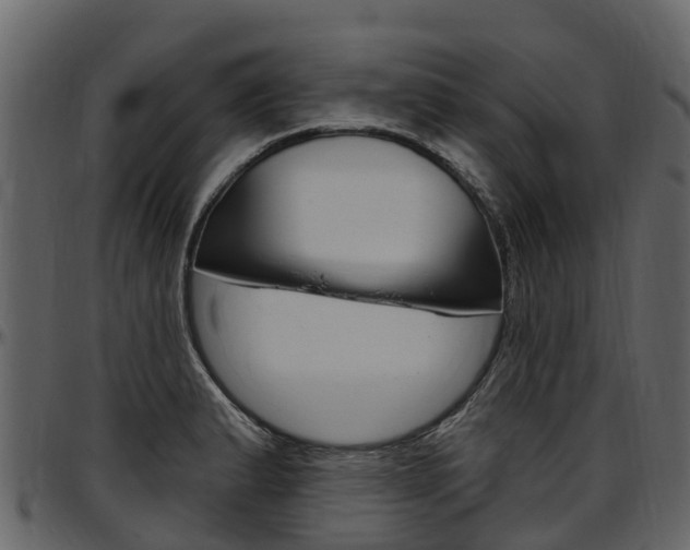 X0000097611183200802290749