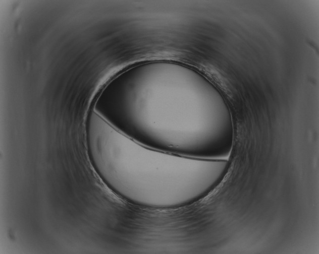 X0000097611184200802290749