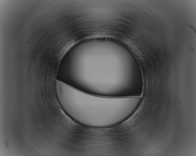 X0000097611185200802290749