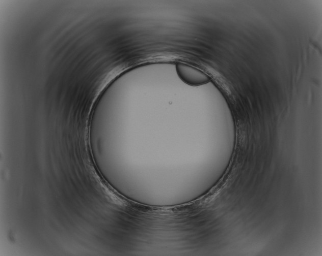 X0000097611186200802290749
