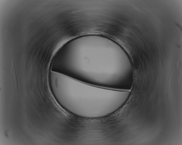 X0000097611187200802290749