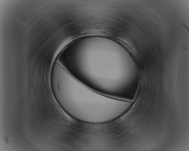 X0000097611188200802290749