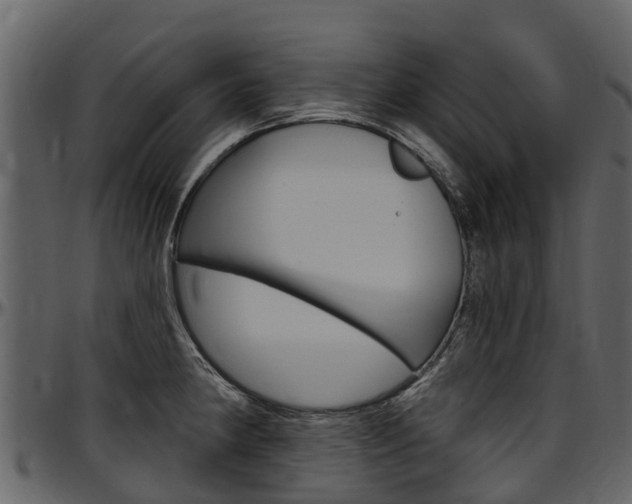 X0000097611190200802290749