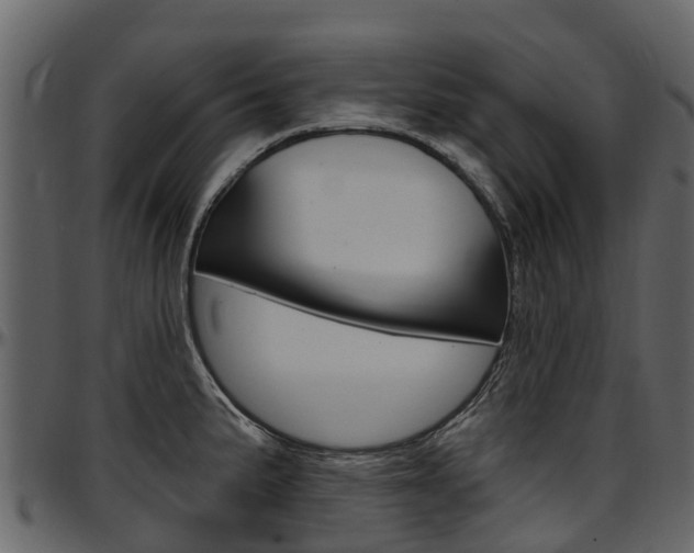 X0000097611191200802290749