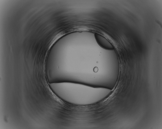 X0000097611194200802290749