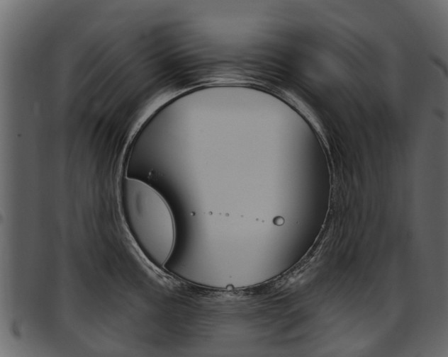 X0000097611195200802290749