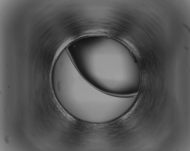 X0000097611196200802290749