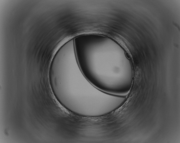 X0000097611197200802290749