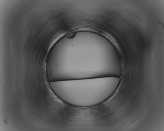 X0000097611198200802290748