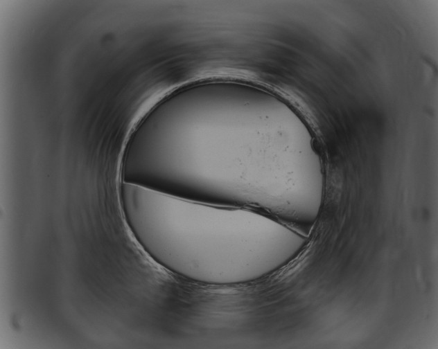 X0000097611199200802290748