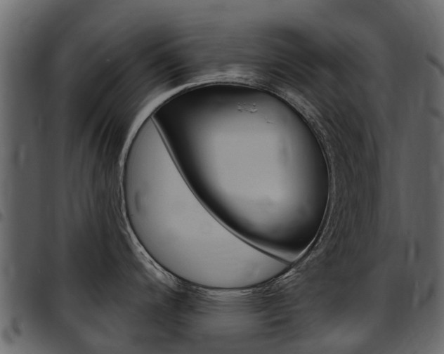 X0000097611200200802290748
