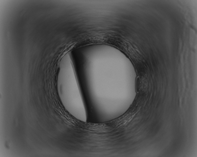 X0000097611201200802290747