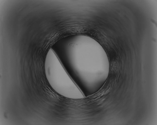 X0000097611202200802290747
