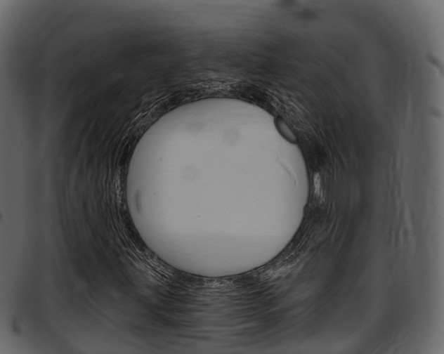 X0000097611203200802290747