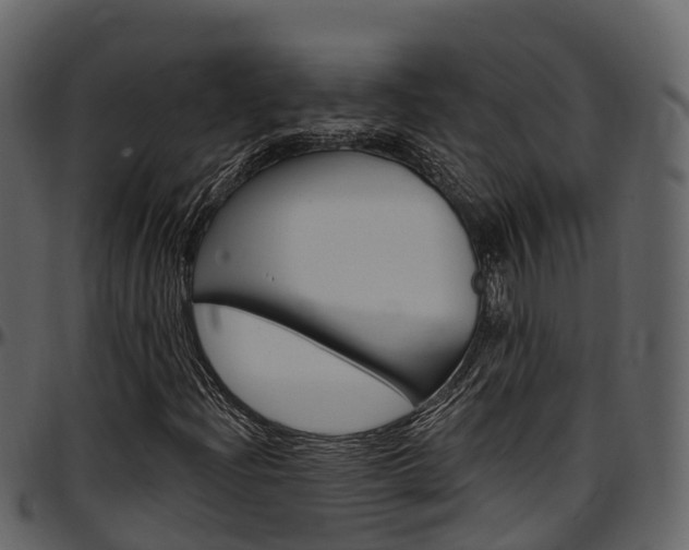 X0000097611204200802290747