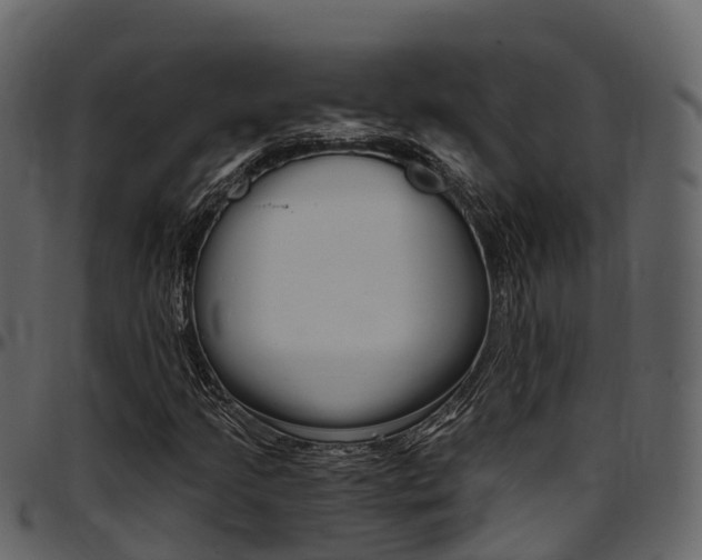 X0000097611205200802290748